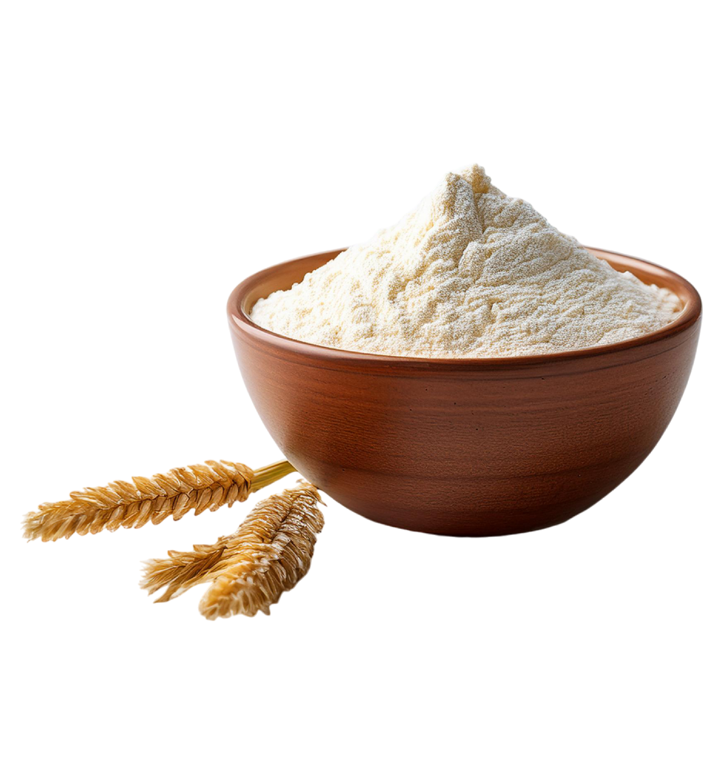 BOWL CON GLUTEN DE TRIGO